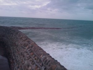 More weed.. More weed..